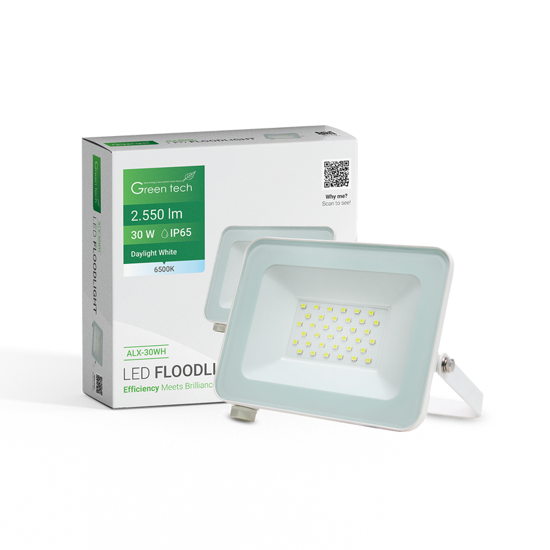 LED reflektor 2550 lm, 30W, 6500K, IP65, bijeli